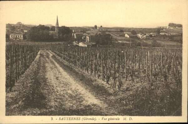 Sauternes