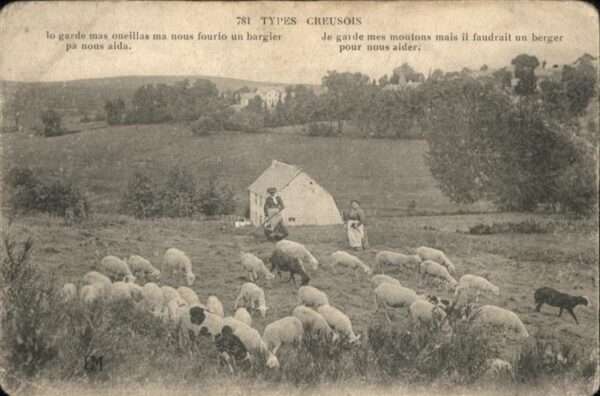Schafe Types Creusois Creuse Gedicht