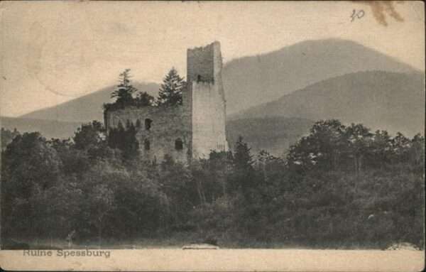 Spessburg Ruine