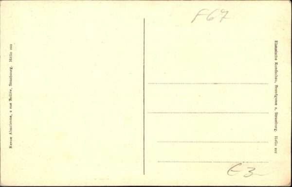Fuchs Buckel – Bild 2