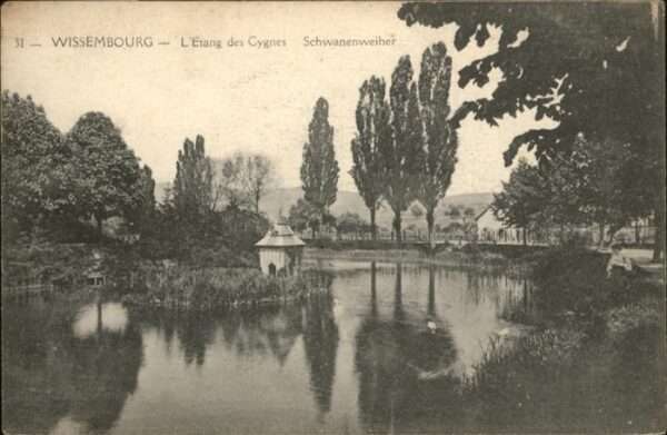 Wissembourg Etang Cygnes Schwanenweiher