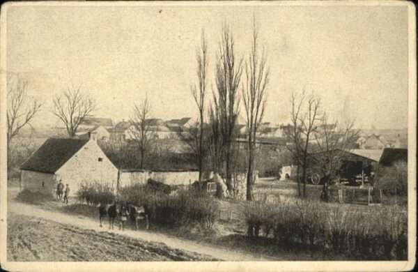 Proviseux