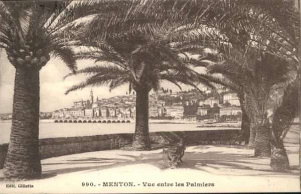 Menton Alpes Maritimes Menton Palmiers