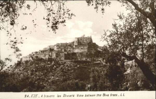 Eze 06 Eze Travers Oliviers