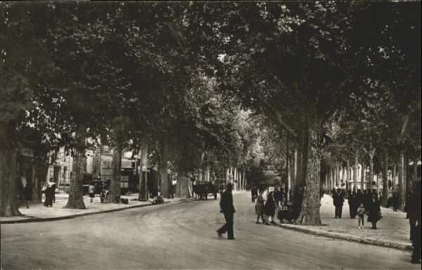Arles Bouches-du-Rhone Arles Boulevard Lices