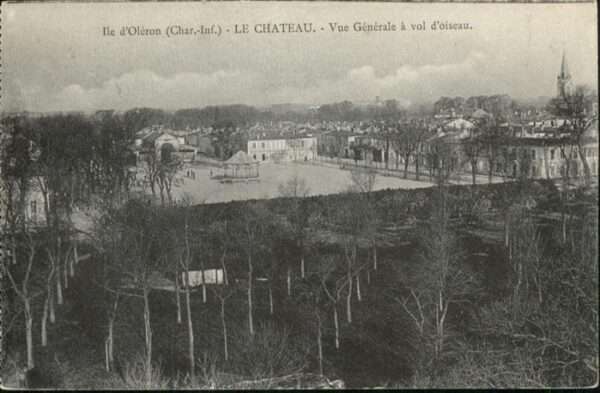 Le Chateau-d Oleron Oiseau
