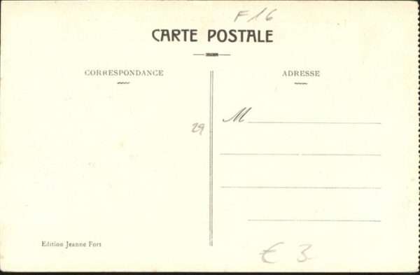 Le Chateau-d Oleron Oiseau – Bild 2