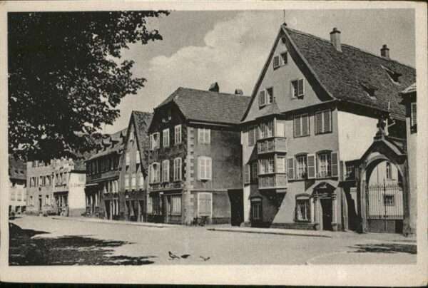 Selestat Bas Rhin Elsass Marche-aux-Choux