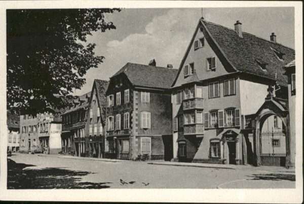 Selestat Bas Rhin Elsass Marche-aux-Choux