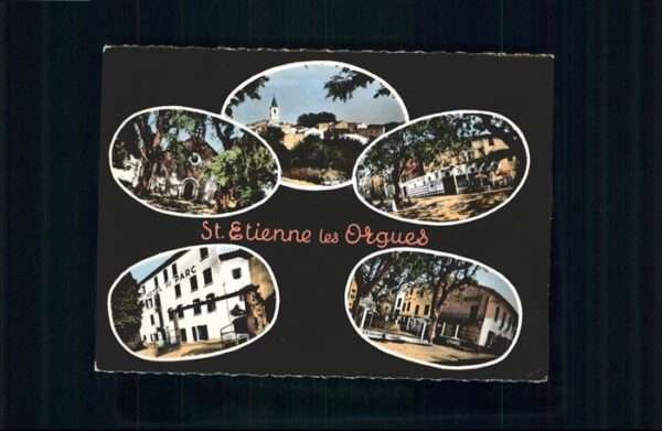 Saint-Etienne-les-Orgues St_Etienne-les-Orgues Hotel du Parc