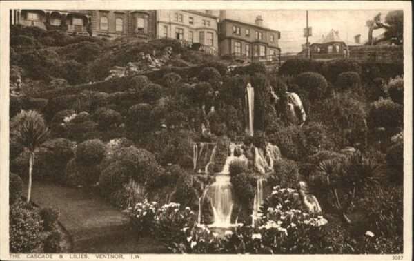 Ventnor Isle of Wight Ventnor Cascade Lilies