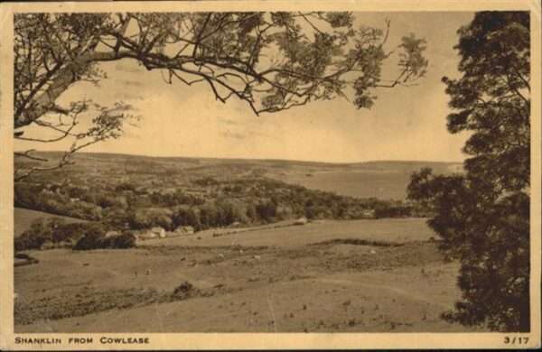 Shanklin Cowlease