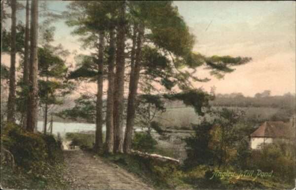 St Leonardson [Stempelabschlag] Angley Mill Pond