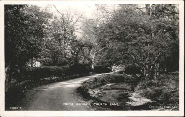 Much Hadham Church Lane