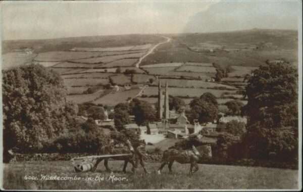 Widdecombe-in-the-Moor Pferd