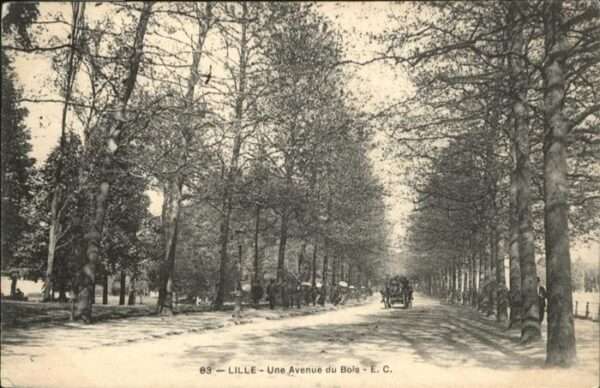 Lille Nord Lille