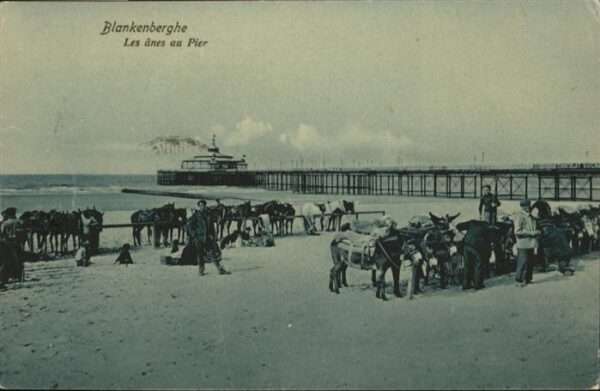 Blankenberghe Anes Pier Esel