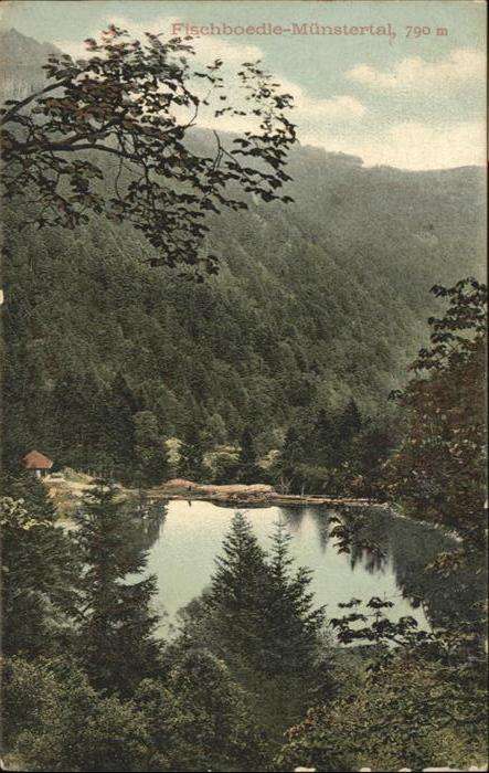 Metzeral Haut Rhin Metzeral Fischboedle Münstertal