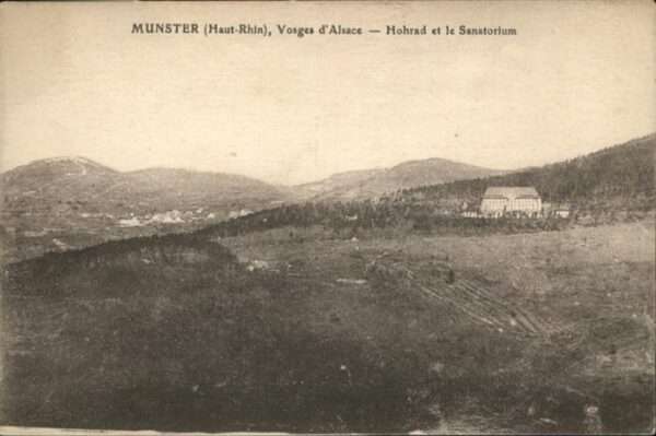 Muenster Haut Rhin Elsass Munster_Elsass Vosges Alsace Hohrad San