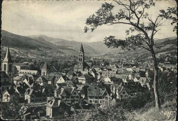 Muenster Haut Rhin Elsass Munster_Elsass