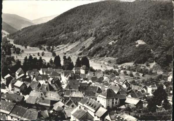 Soultzbach-les-Bains Vallee Wasserbourg