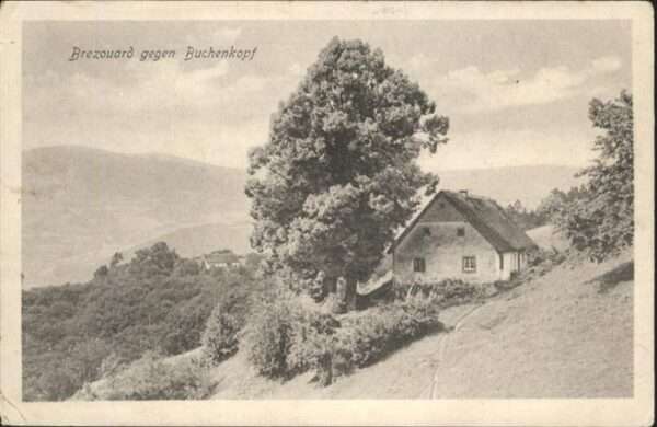Lapoutroie Brezouard Buchenkopf
