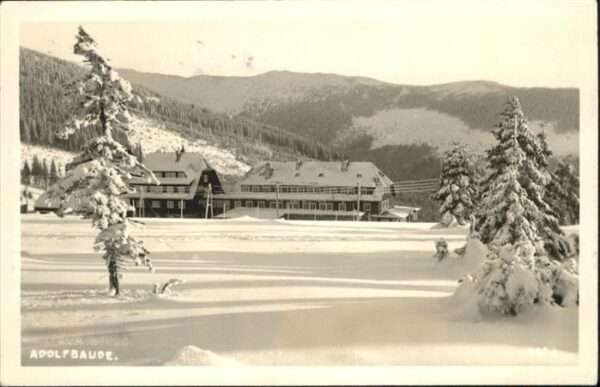 Adolfbaude Winter