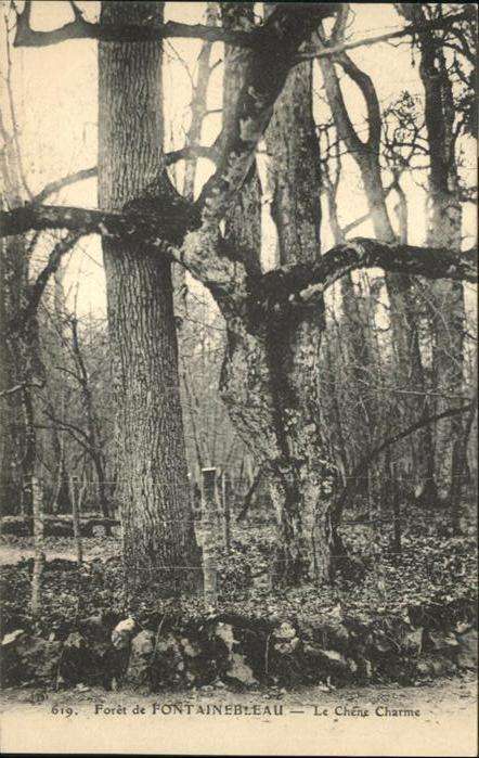 Fontainebleau