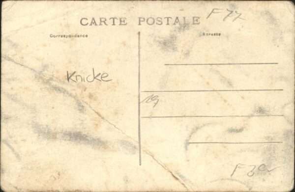 Verdelot Vierge – Bild 2