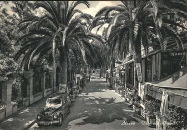 ALASSIO Savona Liguria IT Palmen
