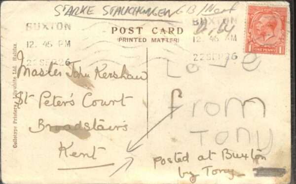 Buxton Broadland Cat Fiddle – Bild 2