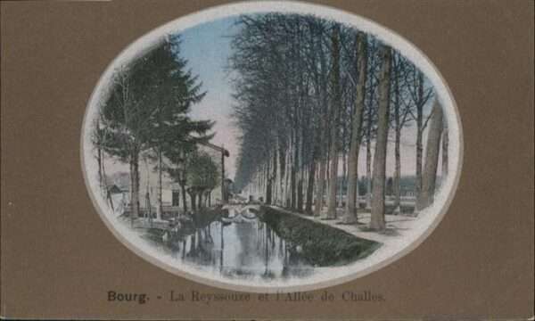 Bourg-en-Bresse Reyssouze Allee Challes
