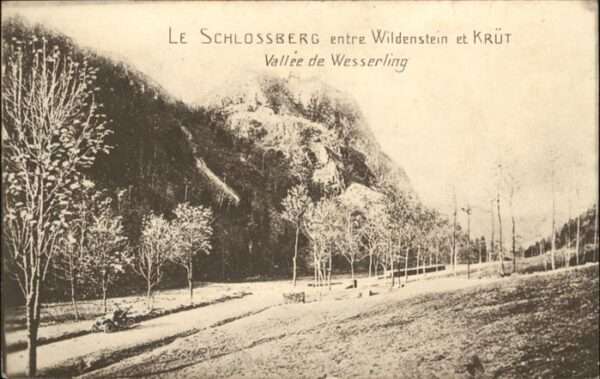 Wildenstein Kaernten Schlossberg
Krüt
Vallee de Wesserling