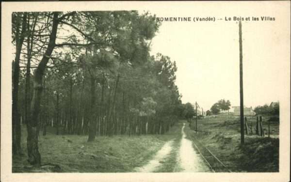 Fromentine Bois et les Villas