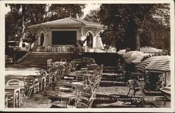 Moissac Uvarium et Cafe de la terrasse