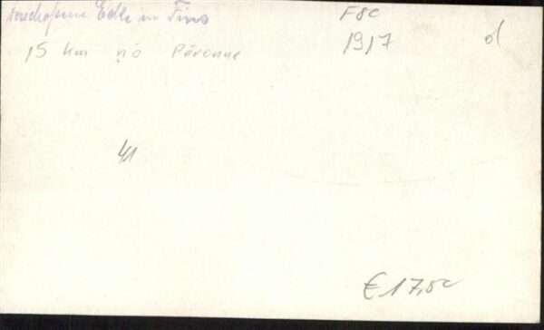 Fins – Bild 2