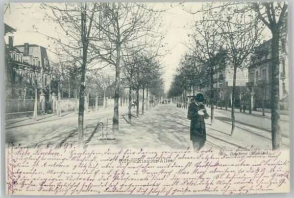 Strasbourg Alsace Ruprechtsauer Allee