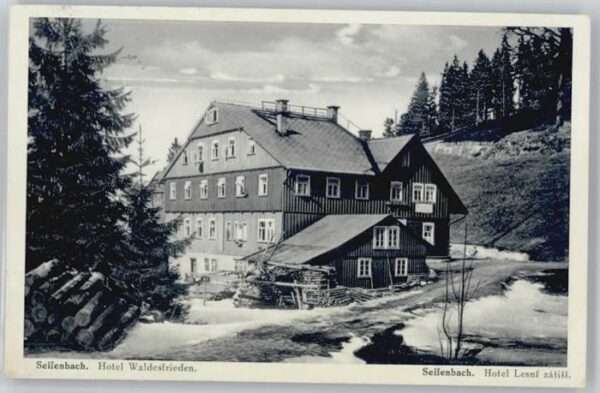 Seifenbach Hotel Waldesfrieden