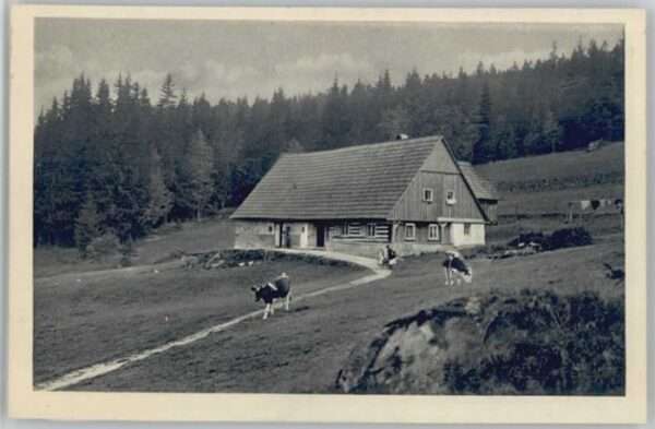 Gebertbaude Schlesien