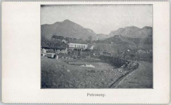Petroseny