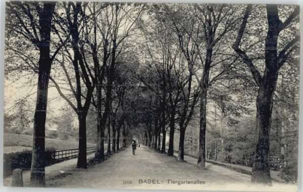 Basel BS Basel Tiergartenallee