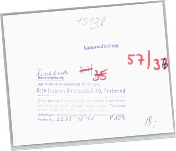 Fischbach ? – Bild 2