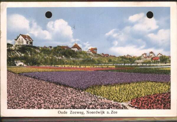 Noordwijk Zee Oude Zeeweg