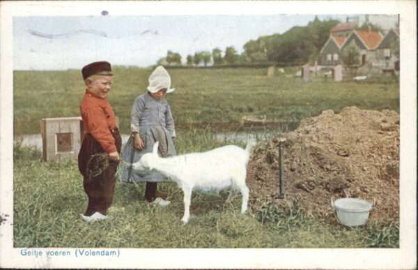 Volendam Geitje voeren Ziege