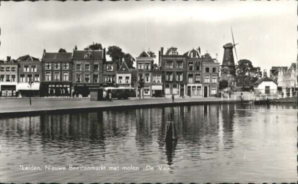Leiden molen De Valk
