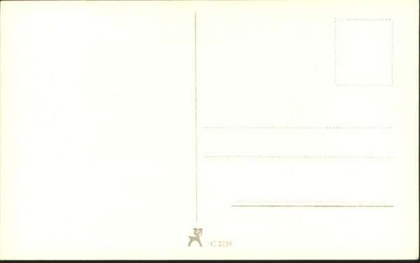 Verlag Film-Foto-Verlag Nr. Wilhelm Strienz A 3637/1 – Bild 2