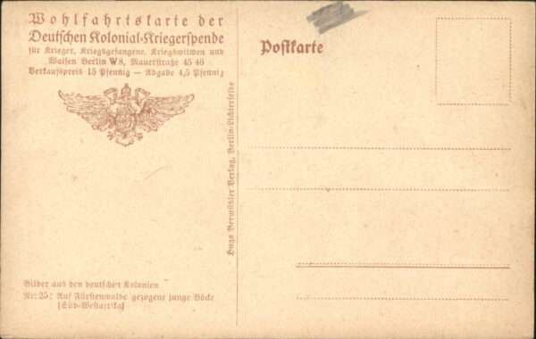 Tiere Böcke – Bild 2