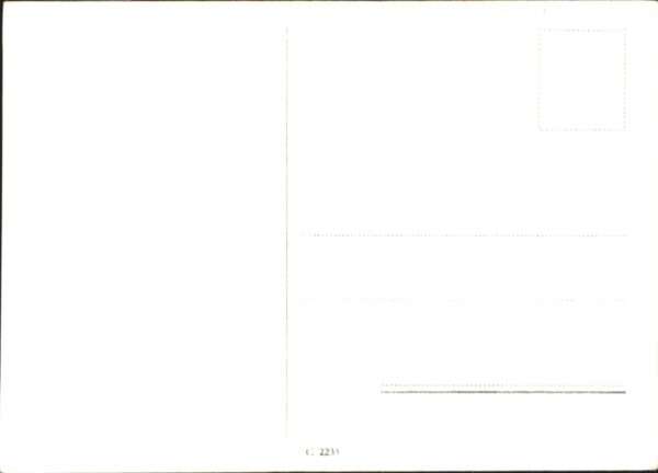 Verlag Ross Nr. Heinz Ohlsen G 81 – Bild 2