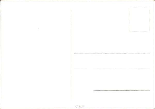 Verlag Ross Nr. Albert Matterstock  A 3153/1 – Bild 2