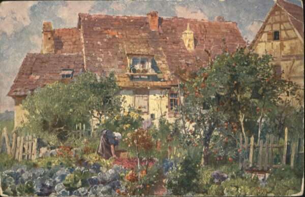Kuenstlerkarte Adolf Thamm Bauerngarten Schwaben
